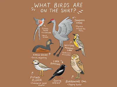 Bird shirt graphic animals art birds drawing graphic design illustration nature procreate procreate art