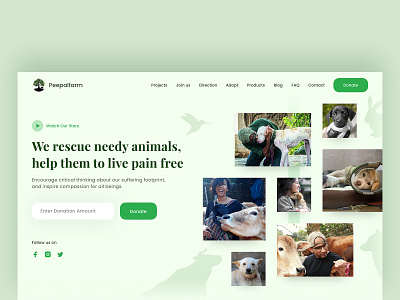 NGO Landing Page animal animal rescue animals website clean clean website collage collage website donation donation website green website landing design landing page landing page design minimal ngo non profit non profit organization uiux