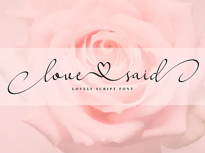 Love Said blogging font brush font business branding elegant font design fonts handwriting handwritten lettering love font lovely calligraphy magazine modern calligraphy modern script romance script font typography valentine valentines day wedding font