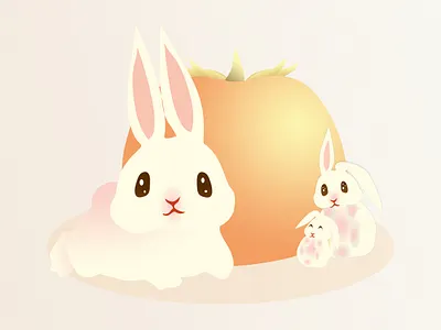 💖 💖 💖 dribbble graphic design