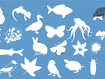 Nature illustration animals illustration nature vector