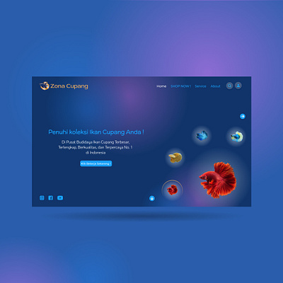 Web Design for Betta Fish app design ui ux web