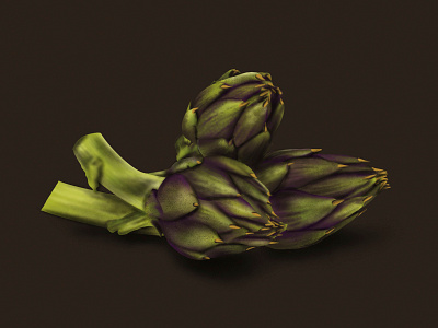 artichoke artichoke flat illustration graphicdesign illustration procreate vegetables