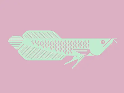 Silver Arawana from the amazon drawing geometric icon