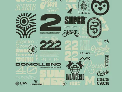 Type collage 2 design fonts lettering type typography