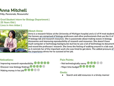 Persona persona user research