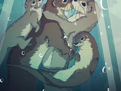 Otter Family art design drawn illustration illustration art illustrations illustrator photoshop vector