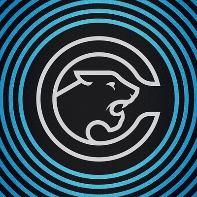 Panthers Logo Concept carolina panthers football logo logo design sports branding sports design super design bowl