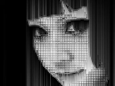 Face abstract abstract art abstract design design digitalart digitalportrait graphic graphicdesign