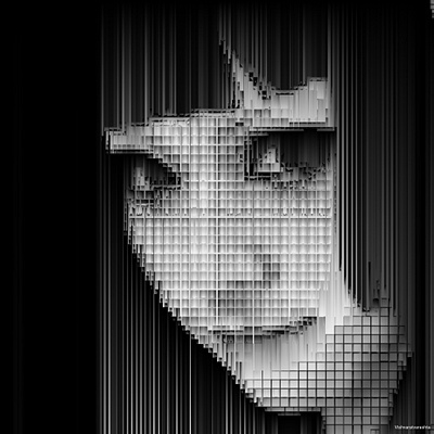 Face abstract abstract art abstract design design digitalart digitalportrait graphic graphicdesign