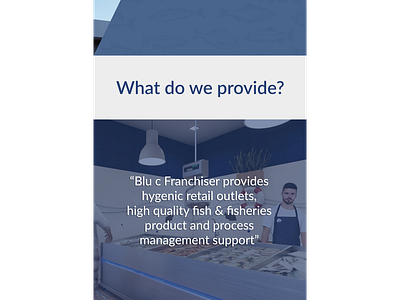 blue c brochure pg3 brand design branding brochure minimal