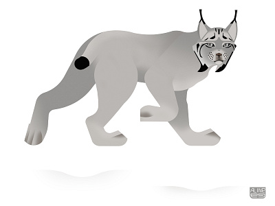 Canada lynx big cat canada cat feline geometric illustration lynx minimal nature wildlife