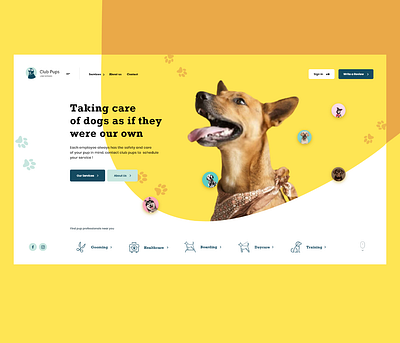 Club Pops UI concept For dogs club design dogs landing page pops ui uidesign uiux ux uxdesign web design