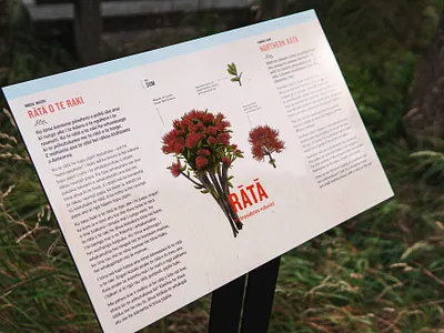 Zealandia Botanical Trail Signage botanical digital illustration environmental graphics floral flower foliage illustration new zealand sign signage wayfinding