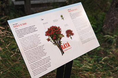 Zealandia Botanical Trail Signage botanical digital illustration environmental graphics floral flower foliage illustration new zealand sign signage wayfinding