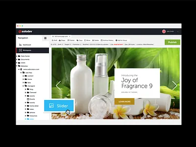 CMS UI cms product design ui