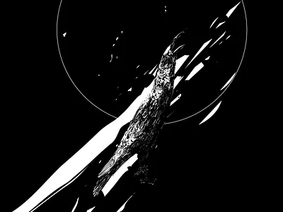 Crow abstract animal illustration black and white composition crow crow illustration dark flow illustration ink inking laconic lines minimal poster poster art splash texture textures