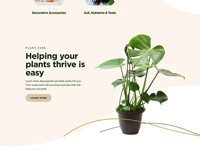 Piante Plants design shopify shopify store ui ux web web design website website design