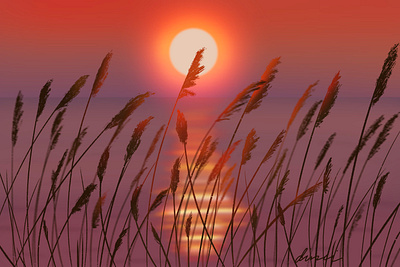 Sunriseparadise art design earth realistic