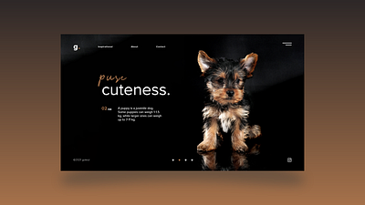 Puppy Web UI Design adobe xd app app design art creative cuteness design designer graphic design illustration inspiration puppy pure ui uiux uiuxdesign uiuxdesigner ux uxdesign weight