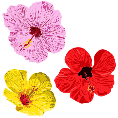 Fresh Hibiscus flower flower illustration fresh hibiscus illustrator pattern shading summer