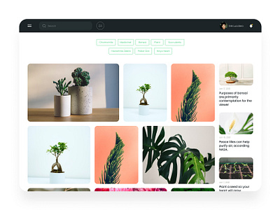 Plants website - desktop version aveiro blog bonsai daily ui design desktop elvas favorites figma figmadesign freelancer graphic designer grid minimalism minimalist plant ui designer ui ux webflow website