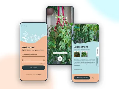 Practice project curvy dailyui design dribbble figma plants uidesign ux