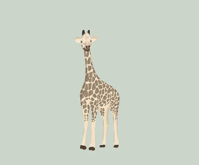 Giraffe giraffe illustration procreate zoo