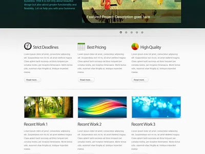 I will build your wordpress website branding buisness design elementor elementor pro entrepreneur illustration landing page design responsive design website wordpress