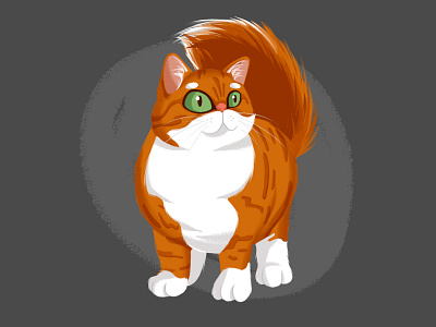 Ginger cat cat character character design cute cute animal cute art design emotion ginger illustration kitten red white