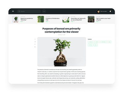 Plants website / desktop version / blog page aveiro blog blog design blog page bonsai dailyui desktop desktop design elvas freelancer graphic designer layout minimal minimalism minimalist plants topics ui designer ui ux website design