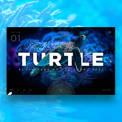 Turtle: Ecosystems of the Coral Reef Website Design coral reef design graphic design hero home homepage landing landing page landing page concept landing page design landingpage travel turtle ui uidesign webdesign website