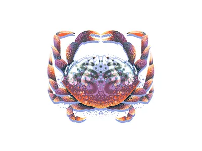 Crab art claw crab crabs crustacean illustration ocean procreate retro supply seafood symmetry texture