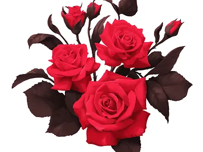 Rose Illustration botanical botanical illustration botanicals digital painting digitalart flower illustration flowers illustraion painting realism roses