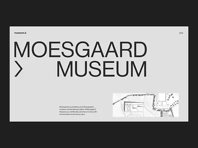 Museum Website Interactions animation design design studio education ethnography graphic design history interaction interface museum ui user experience ux web web design web interaction web layout webdesign website website design