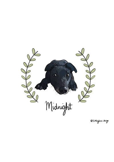 Midnight's portrait animals art artist artwork caligraphy custom artwork cute design digital art digital illustration digital portrait digitalart dog dog illustration drawing hand drawn hand lettering pet portrait procreate