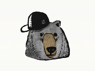 Cool Bear bear björn illustration procreate ursine