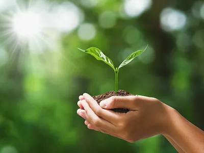 Pro Design adobe illustrator adobe photoshop best logo fiverr.com graphicdesign logo design logos resize retrace vector vector art vector tracing