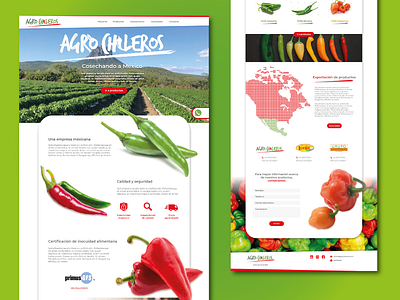 Agrochileros Website v2 branding design ux web webdesign