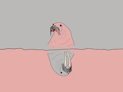 Animated poetry - walruses 2danimation animated animated gif art audiovisual design funny minimalist poetry procreate sea storytelling walrus