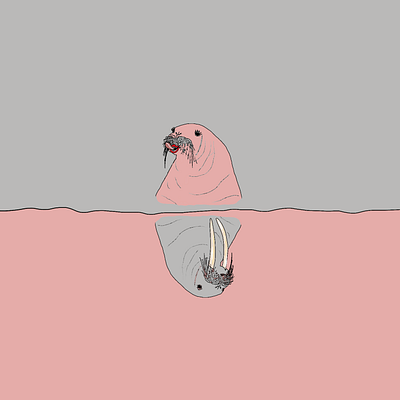 Animated poetry - walruses 2danimation animated animated gif art audiovisual design funny minimalist poetry procreate sea storytelling walrus