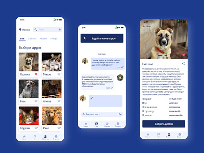 Mobile App for a shelter for homeless animals animals app app design design mobile shelter ui ux web