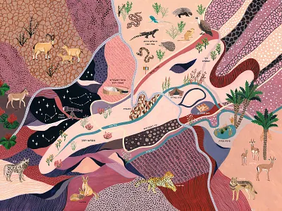 Illustrated Map / Mitzpe Ramon Israel animals art gouache illustrated map illustration israel map map illustration nature nature art painted pattern plants