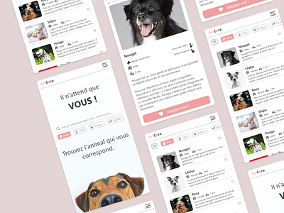 Petcare App adoptionpet adoptpet animal app appdesign interfacedesign mobile mobileapp petapp uidesign uiinterface uiux webdesign