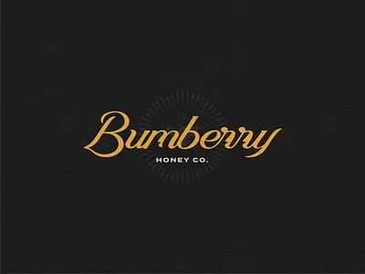 Bumberry Honey Co. — Primary Logo brand design brand identity branding design graphic design hand lettering honey honeybee logo logotype typography vintage vintage logo