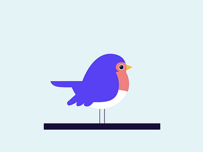 Birdie animation bird bird illustration design illustration ui