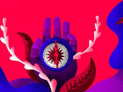 North Star Vision blog design illustration procreate vector