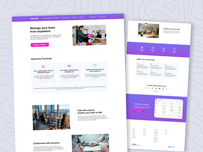 Team Management Website Landing page