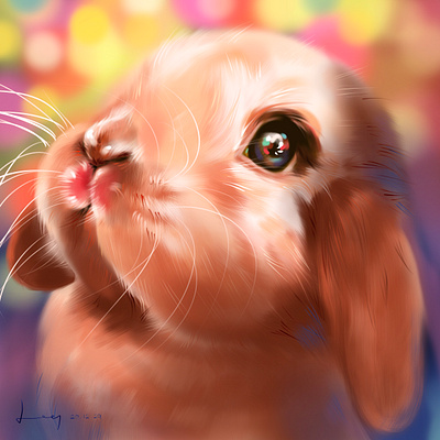 Rabbit's fireworks animal illustration