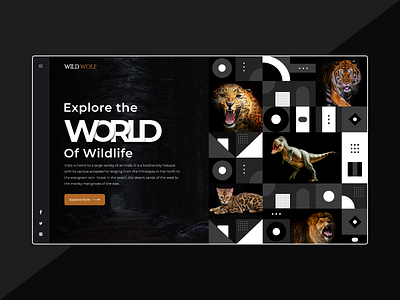 Wild Life Website animal animals clean ui creative dark theme flat design minimal national park pattern art patterns trending uiux web design webdesign website website design websites wild wild animal wildlife
